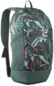 QUECHUA Arpenaz NH100 - Liten 10L Vandringsryggsäck i Mörkgrön